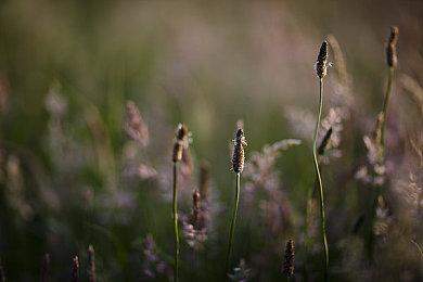 《写真语》登陆Steam 寓教于乐学习外语游戏